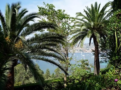 The beautiful Ephrussi Rothschild villa and gardens in Cap Ferrat.Join us on our 2018 Monaco Historique grand prix tour.