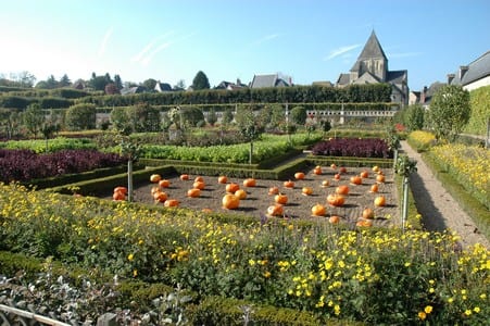 Villandry chateau and gardens.Join us on our Loire Valley car tour