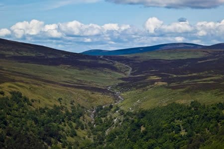 Wicklow Mountains
